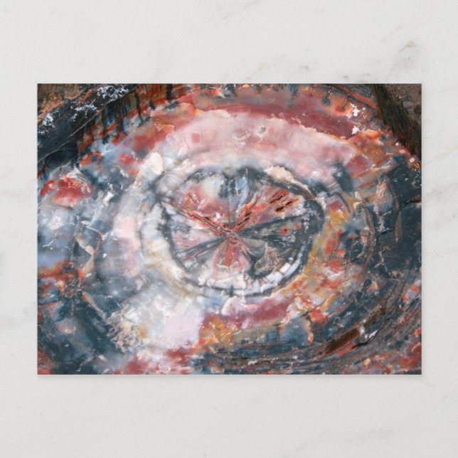 Foto av färgat Petrified Wood Vykort (Framsida)