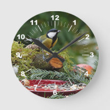 Foto av färgstark fågelrött i Gräs