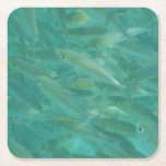 Foto av fisk under vatten underlägg papper kvadrat<br><div class="desc">Skal av fisk.</div>