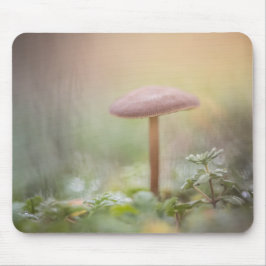 Foto av Forest Mushroom Natature Musmatta