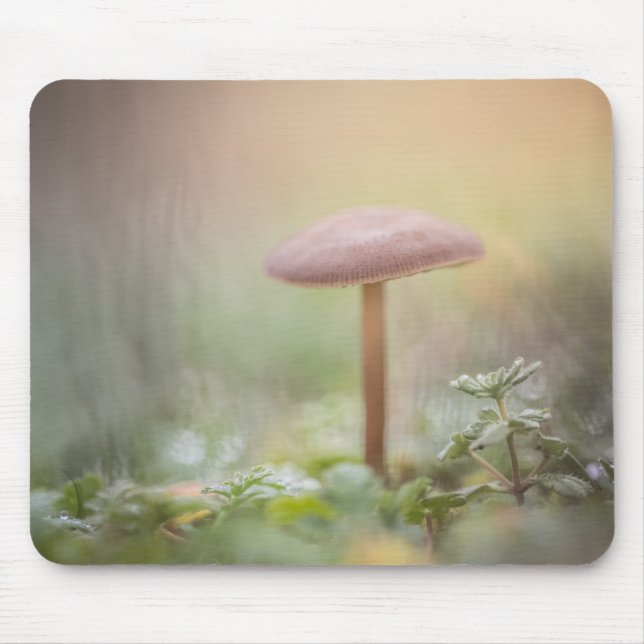 Foto av Forest Mushroom Natature Musmatta (Framsidan)