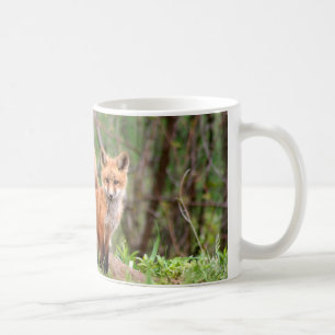 Foto av förtjusande röda rävsatser kaffemugg