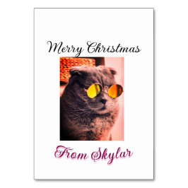 Foto av god jul cat hund pet animal kärlek bordsnummer