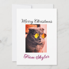 Foto av god jul cat hund pet animal kärlek inbjudningar