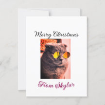 Foto av god jul cat hund pet animal kärlek