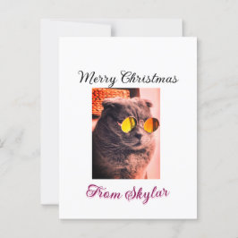 Foto av god jul cat hund pet animal kärlek vykort