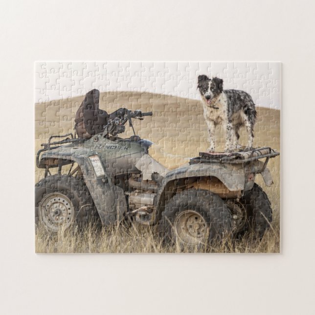 Foto av grov och tuggbar ATV-Hund Pussel (Horisontell)