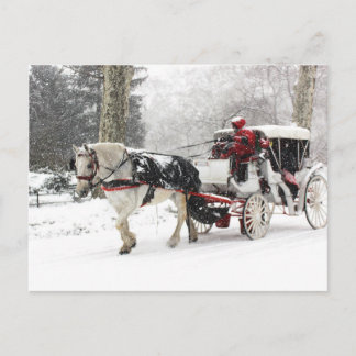Foto av Horse and Buggy i Central Park Winter Vykort