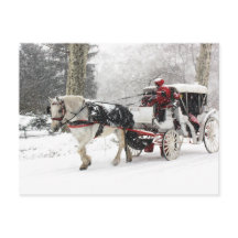 Foto av Horse and Buggy i Central Park Winter