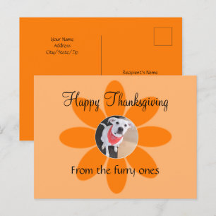 Foto av Hund Cute Puppy i Orange Blommor enkel Helg Vykort