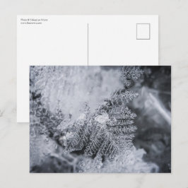 Foto av Ice Crystal Nature Vykort