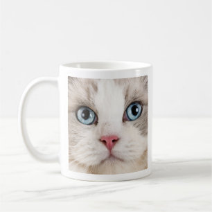 Foto av kaffe och katter från kärlek kaffemugg