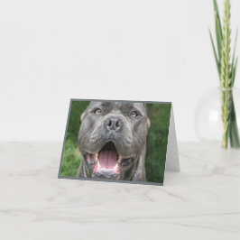 Foto av Käpp Corso Card Kort