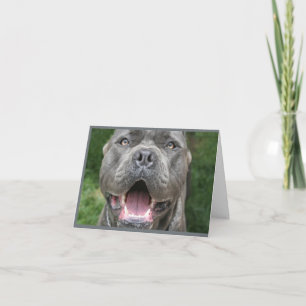 Foto av Käpp Corso Card Kort