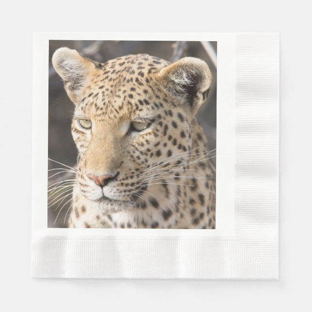 Foto av Leopard porträtt Pappersservett (Framsidan)