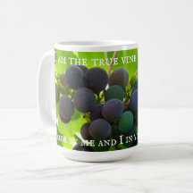 Foto av Lila Grapes Gospel av John Bible Verse