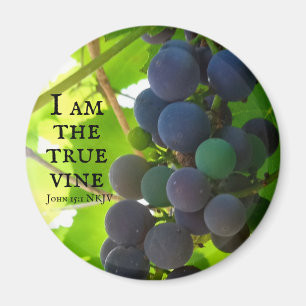 Foto av Lila Grapes Gospel av John Bible Verse Magnet