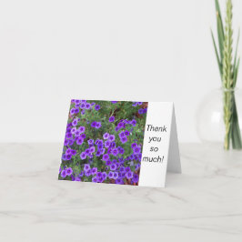 Foto av Lila Phlox-blommor på en Tack Kort