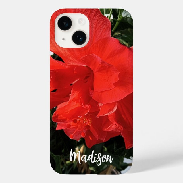 Foto av Orange Dubbla Hibiscus eget namn (Baksida)
