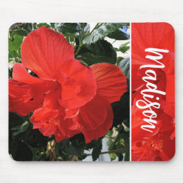 Foto av Orange Dubbla Hibiscus eget namn Musmatta