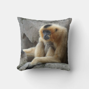 Foto av Orange och Black Gibbon-avslappning vid Cl Kudde