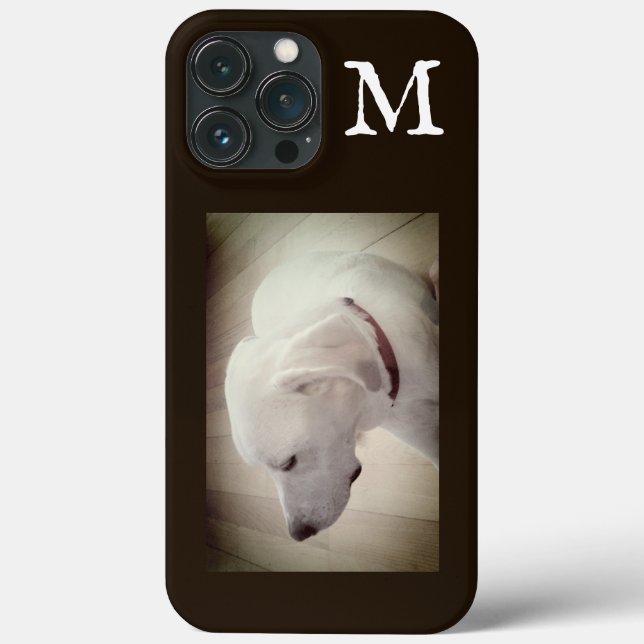 Foto av Proud Hund Profile Mörk Chocolate Brown (Baksida)