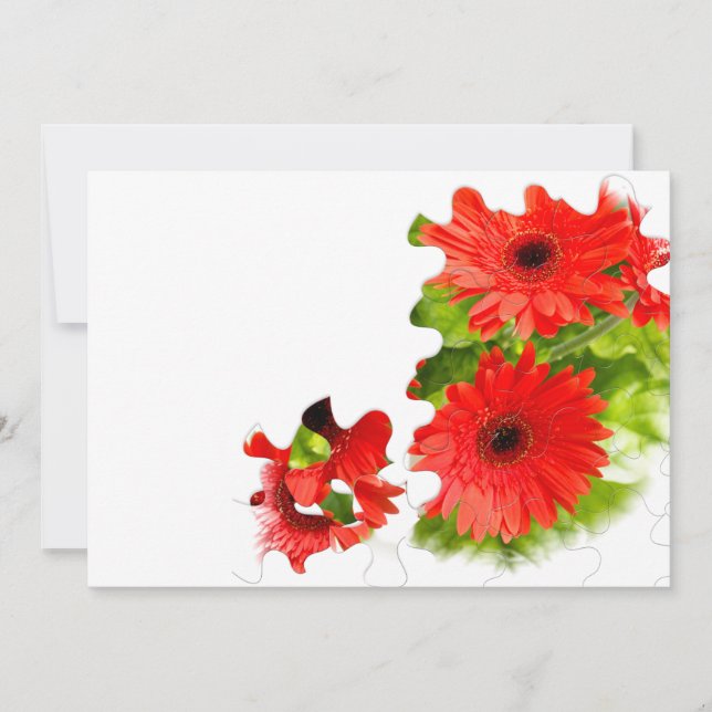 Foto av puzzelgurka (Framsida)