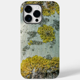 Foto av Real Aspen Träd Bark - Naturligt Amulet