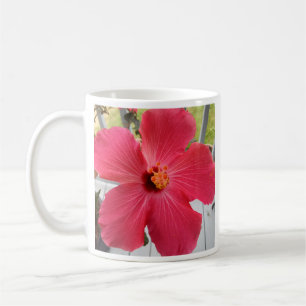 Foto av Rosa Flower Sång i Solomon Bible Verse C Kaffemugg
