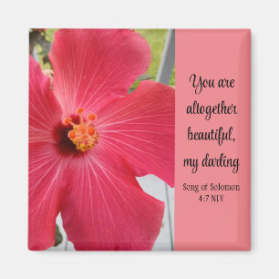 Foto av Rosa Flower Sång i Solomon Bible Verse Magnet