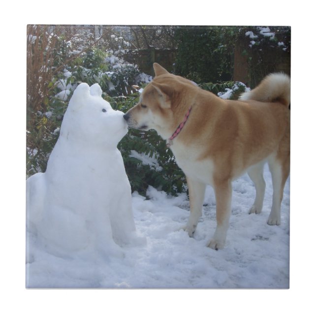 foto av söt akita kissing snögubbe akita hund kakelplatta (Framsidan)