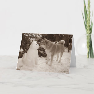 foto av söt akita kyssande snögubbe snö hund helgkort