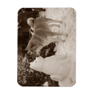 foto av söt akita kyssande snögubbe snö hund magnet