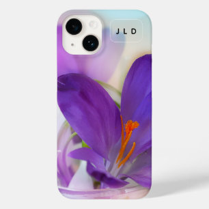 Foto av Söt Lila Vår Crocus