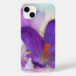 Foto av Söt Lila Vår Crocus