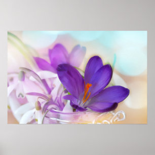 Foto av Söt Lila Vår Crocus Poster