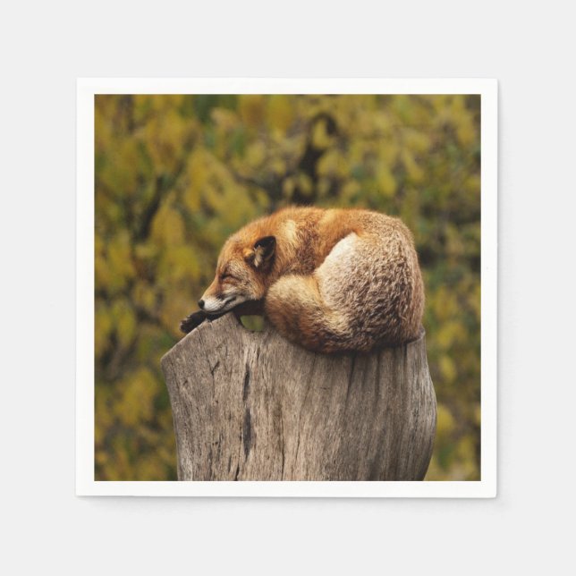 foto av sovfox pappersservett (Framsidan)
