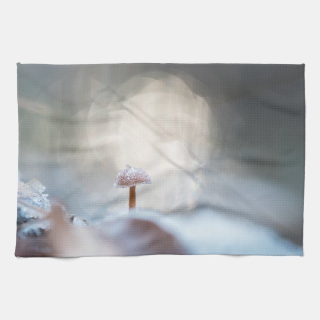 Foto av svamp, fryst kökshandduk (Horisontell)