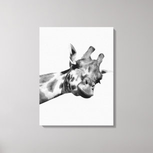 Foto av svart, vitt giraffe african-djur canvastryck