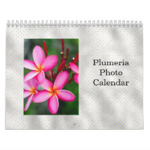 Foto av Tropical Flowers Plumeria 