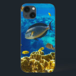 Foto av tropiska fiskar på korallrev<br><div class="desc">Foto av tropisk fisk på korallrev © and ® Bigstock® - Med förbehåll för alla Höger.</div>