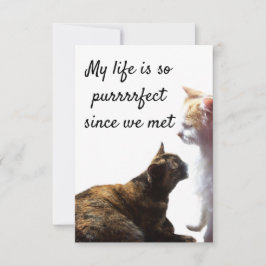Foto av två katter med Valentinens exakta liv