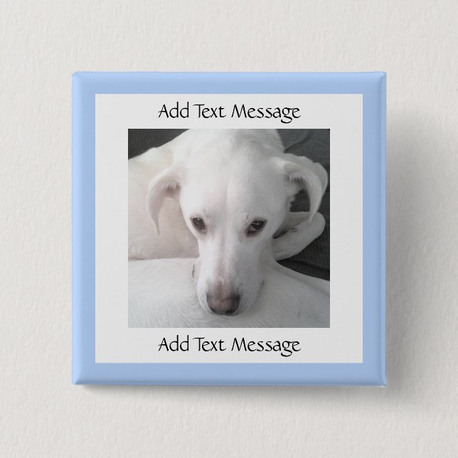 Foto av Unik Vita Labrador Retriever Mix Hund Knapp (Framsida)