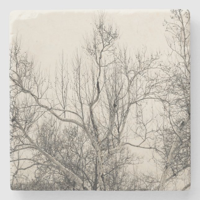 Foto av vinterdimma i Central Park NYC Underlägg Sten (Framsidan)