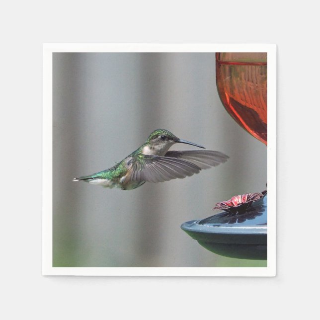 Foto av Wildlife Hummingbird Red Feeder Photo Pappersservett (Framsidan)