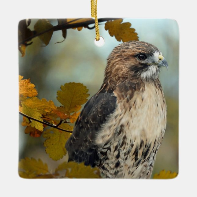 Foto av Wildlife Red Tails Hawk Autumn Photo Julgransprydnad Keramik (Framsida)