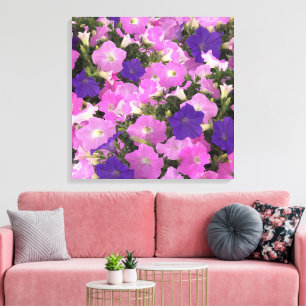 Foto Bild Av Morning Glory Rosa & Lila Blommor