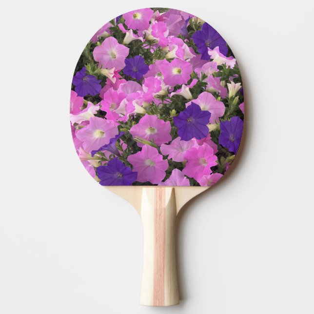 Foto Bild Av Morning Glory Rosa & Lila Blommor Pingisracket (Framsidan)