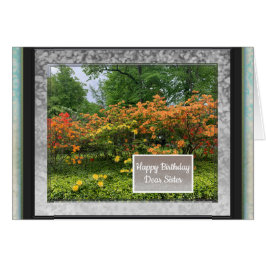 Foto Bilder för sjukdagskort Hälsningskort