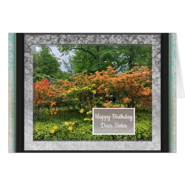 Foto Bilder för sjukdagskort Hälsningskort (Framsidan Horizontal)